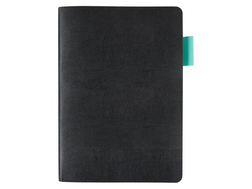 Ежедневник недатированный А5 Boston