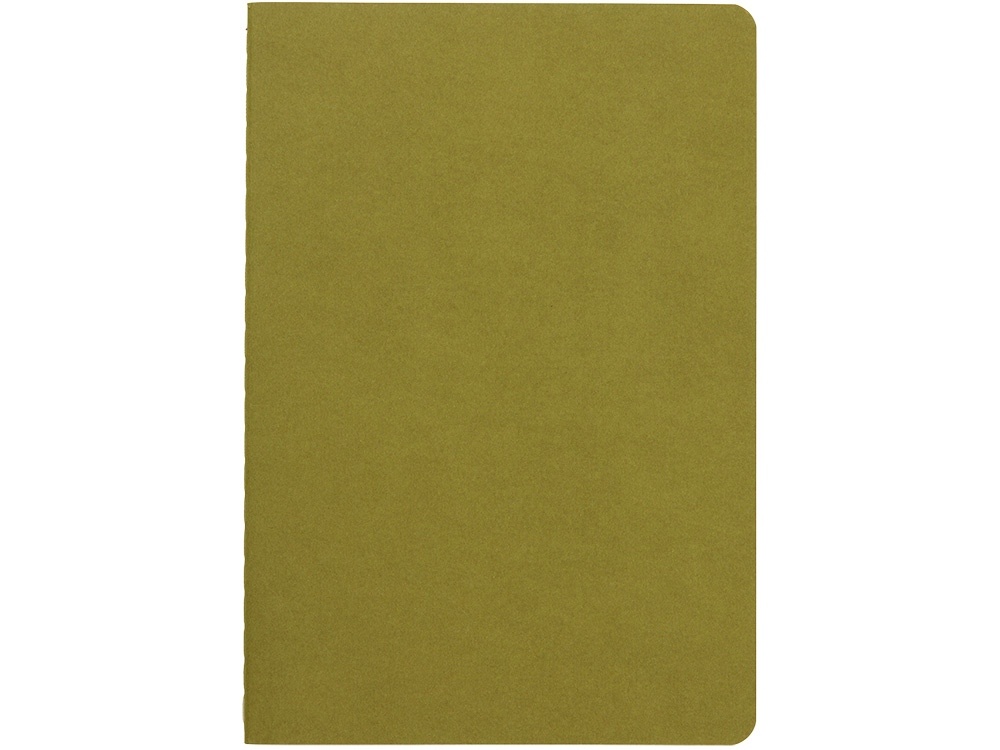 Бизнес тетрадь А5 Pragmatic