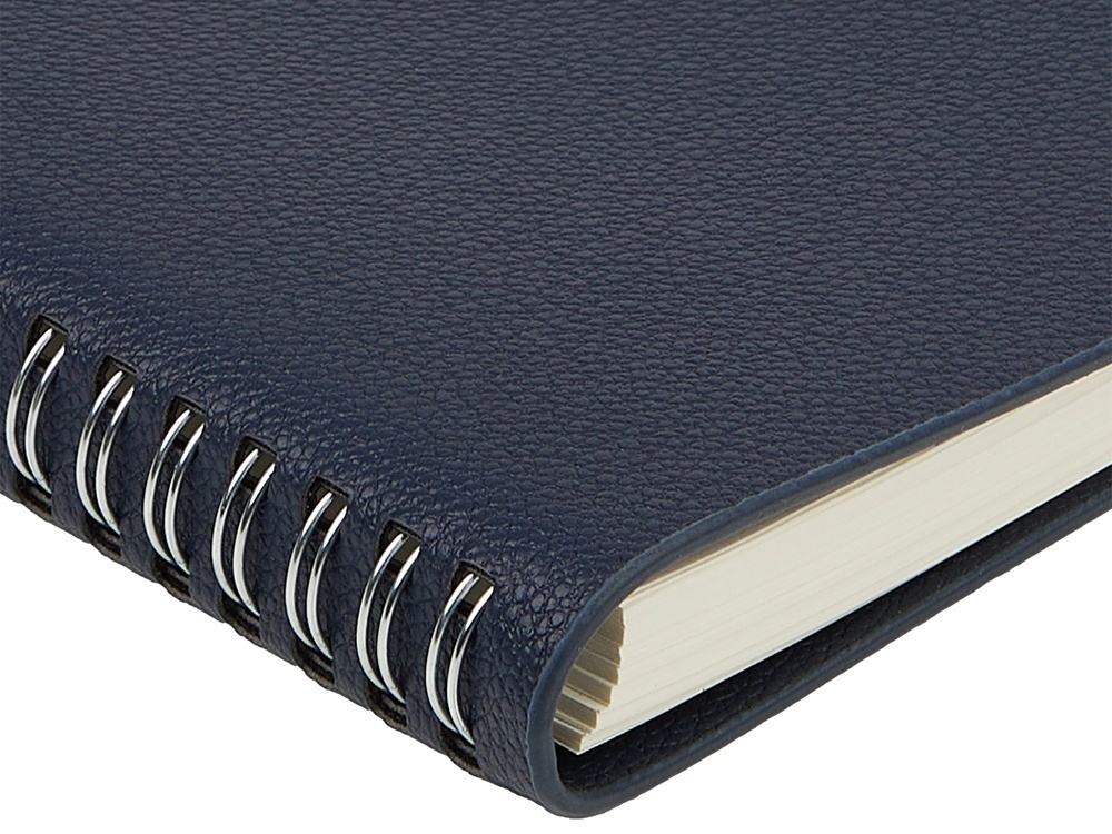 Ежедневник недатированный А5 Alba