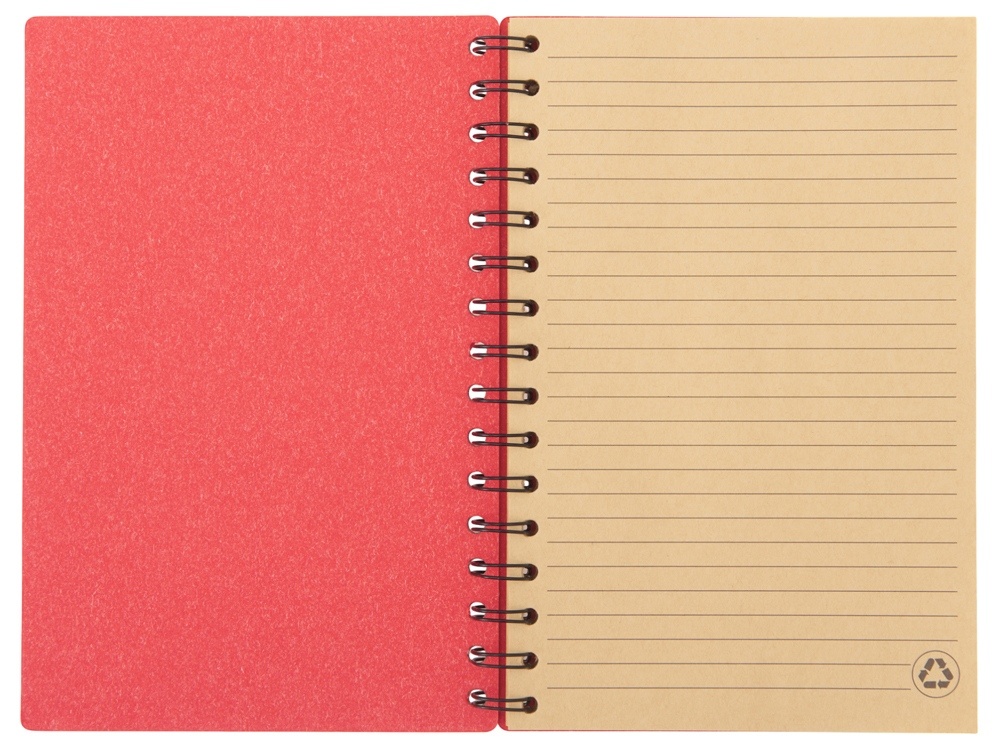 Блокнот А5 на спирали Mania