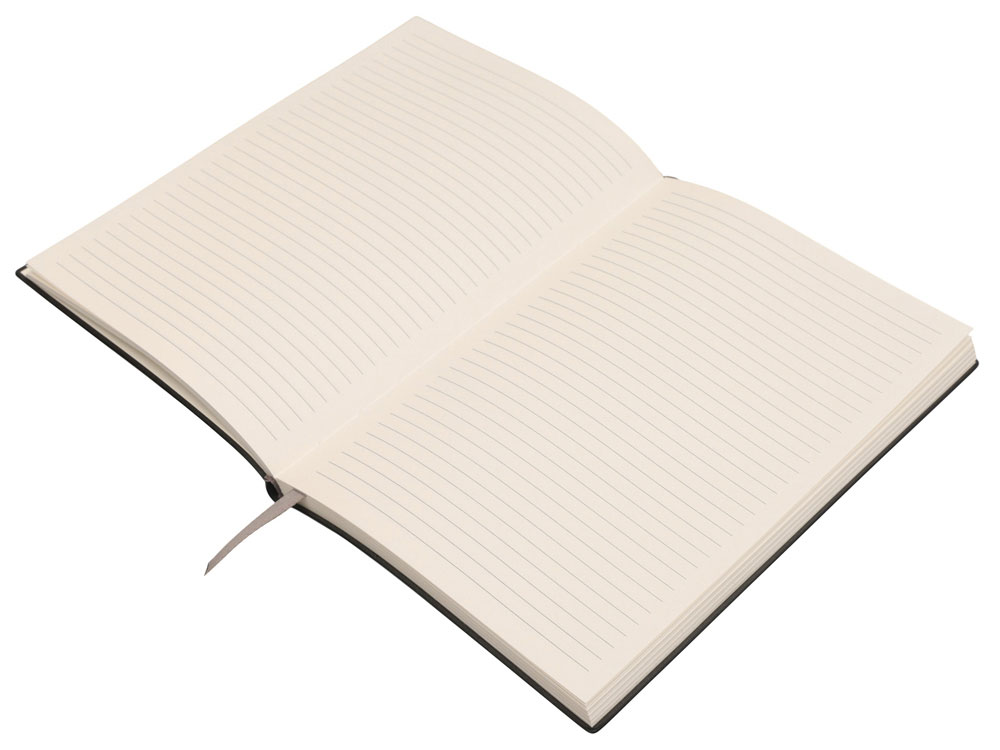 Подарочный набор Bradbury &Co с блокнотом А5 и ручкой