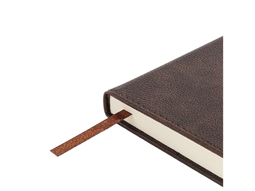 Ежедневник недатированный А5 Lyon