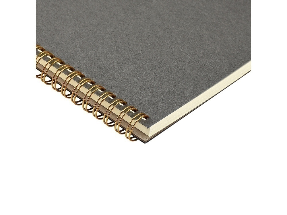 Бизнес тетрадь А5 Pragmatic