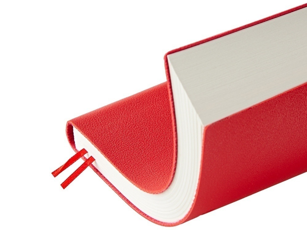 Ежедневник недатированный А5 Grand