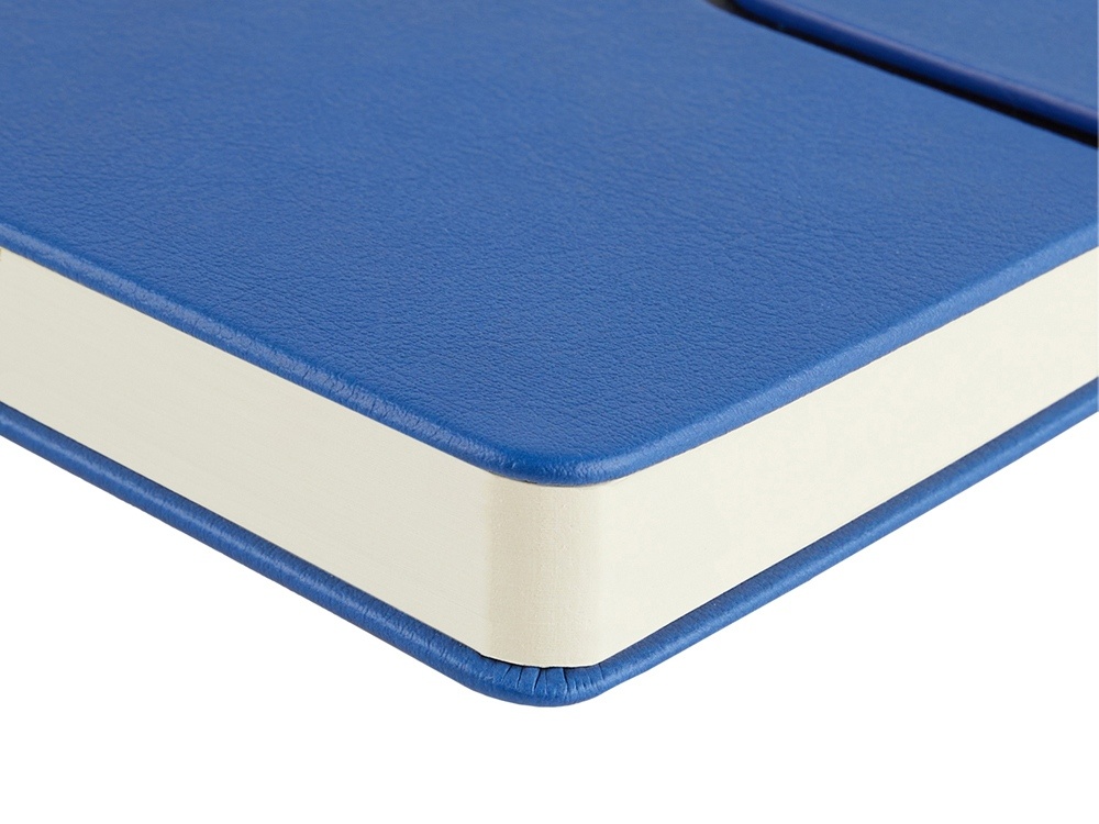 Ежедневник недатированный А5 Status