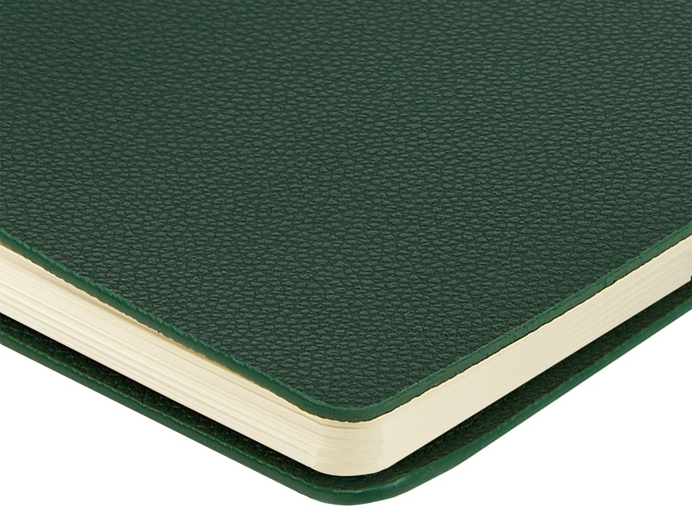 Ежедневник недатированный А5 Alba