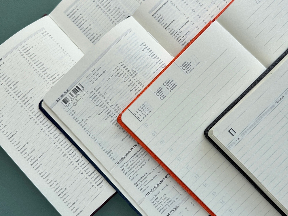 Ежедневник недатированный А5 Megapolis Loft