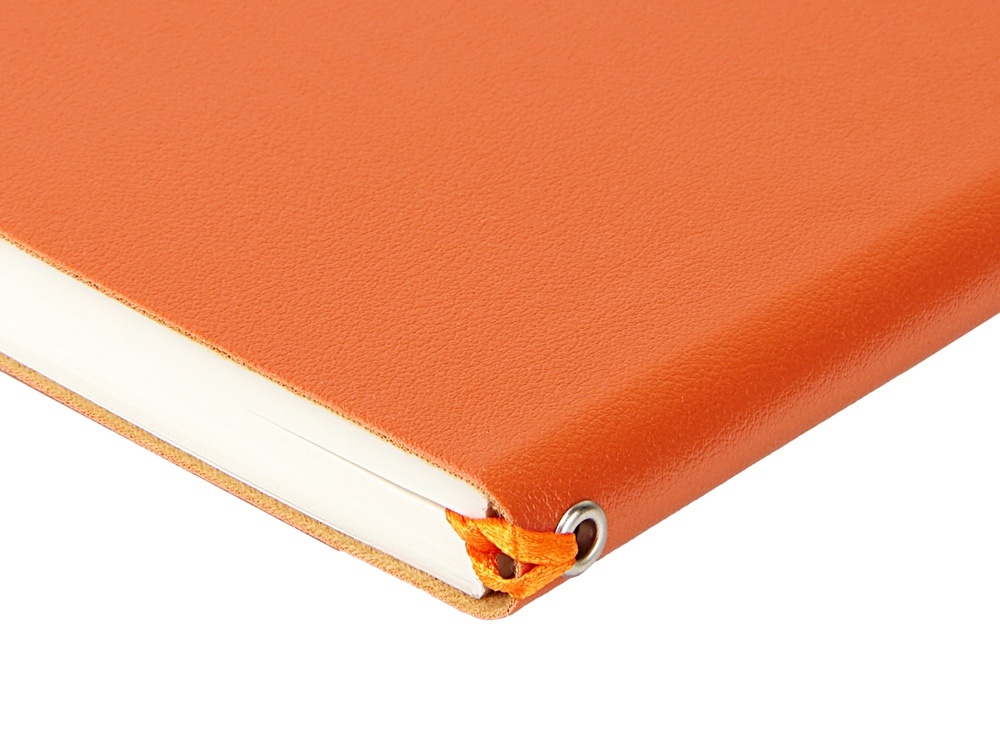 Ежедневник недатированный А5 Grand