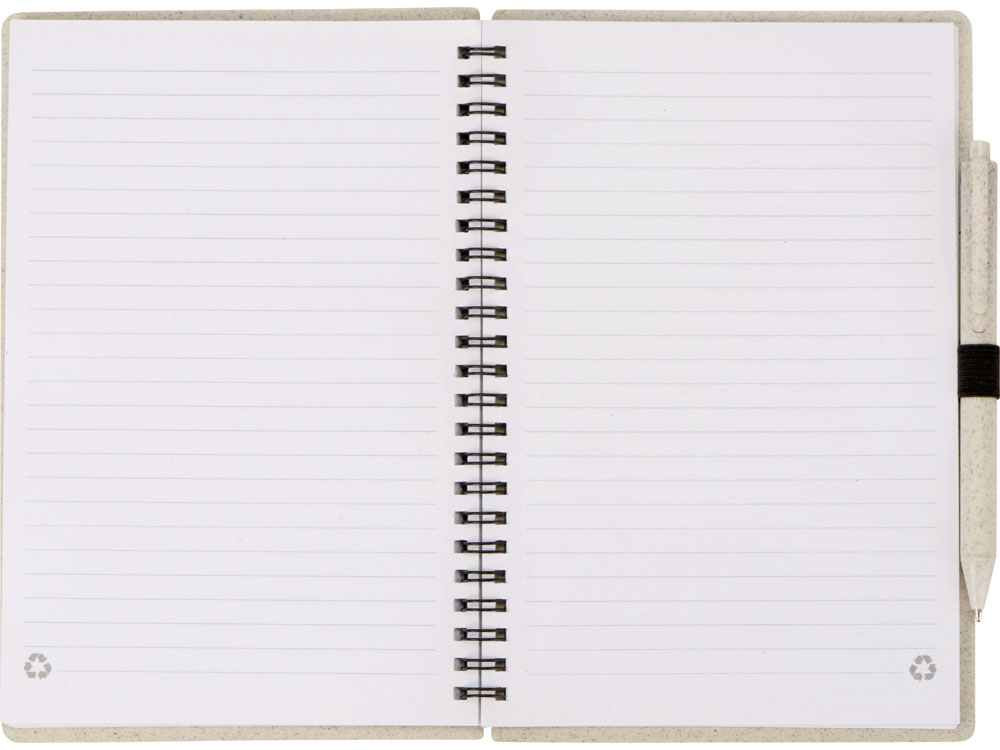 Блокнот А5 Toledo M с обложкой из пшеницы и пластика и шариковой ручкой